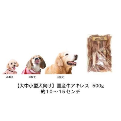 【大中小型犬向け】国産牛アキレス　500g　無添加 手作り