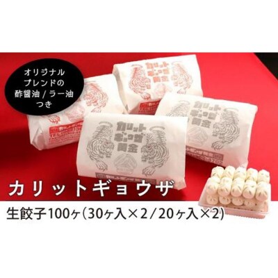 カリットギョウザ生餃子100ケ【9～10人前】ジューシー
