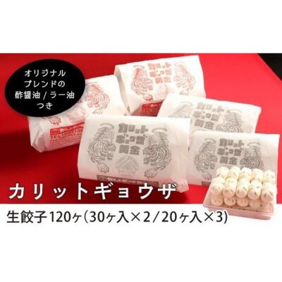 カリットギョウザ生餃子120ケ【11～12人前】ジューシー