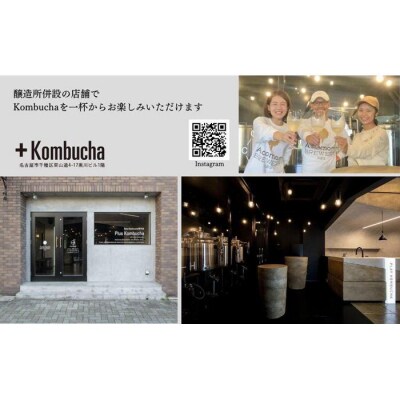 美味しく楽しめる!+KombuchaのKombucha1年定期コース