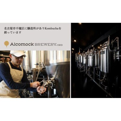 美味しく楽しめる!+KombuchaのKombucha　4本セット