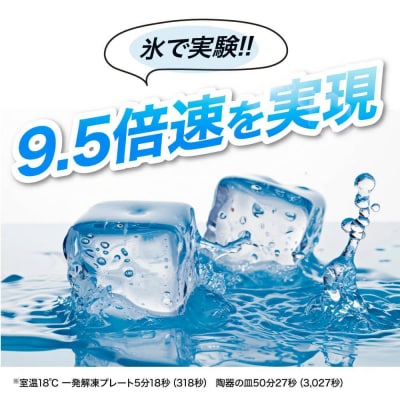 IWANO 一発解凍プレート