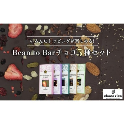 Bean to Barチョコ(タブレット)5種セット　chocorico