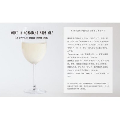 美味しく楽しめる!+KombuchaのKombucha6本セット