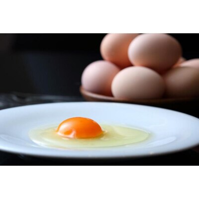 五三焼き 極上かすてら