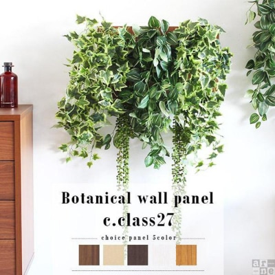 Botanical c.class 27　ブラウン