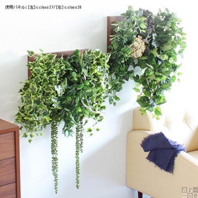 Botanical c.class 27　ブラウン