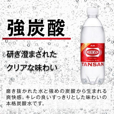 	【定期便2回】アサヒ　炭酸水　ウィルキンソンタンサン　500ml ペットボトル　1ケース×2ヶ月