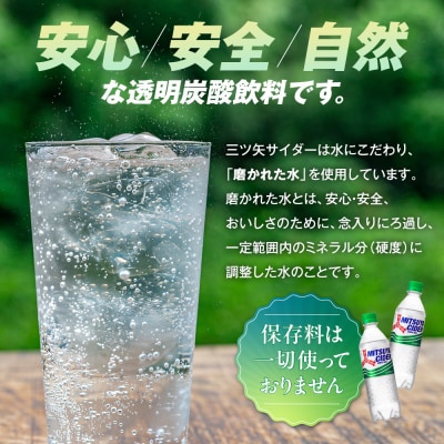 アサヒ三ツ矢サイダー500mlPET　24本入　2ケース