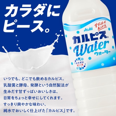 アサヒカルピスウォーターPET500ml　24本入　2ケース