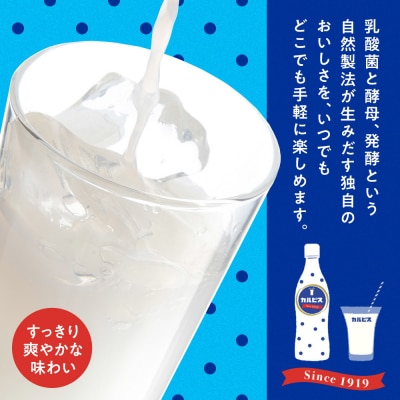 アサヒカルピスウォーターPET500ml　24本入　2ケース