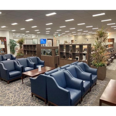 MRI検査(脳ドック)