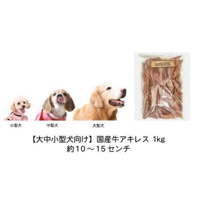 【大中小型犬向け】国産牛アキレス 1kg(500g×2) 無添加 手作り