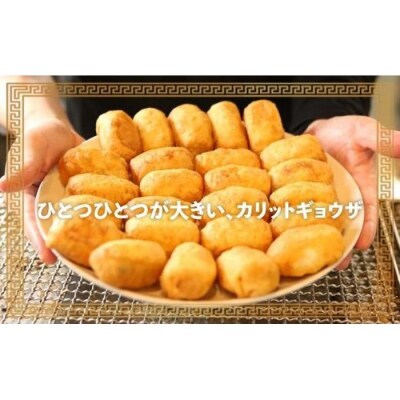 カリットギョウザ 生餃子 48ケ【6人前】