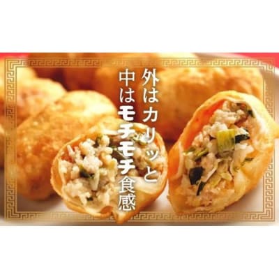 カリットギョウザ生餃子50ケ【4～5人前】ジューシー