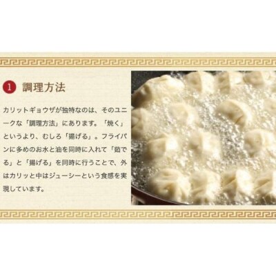 カリットギョウザ 生餃子 48ケ【6人前】
