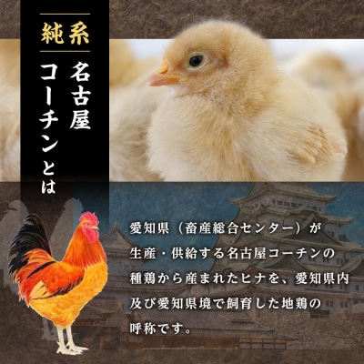 純系名古屋コーチン　モモ・ムネ・ササミセット【カット済のボリューム1.2kg】