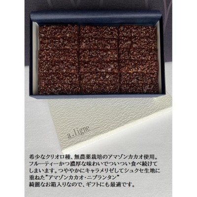 アマゾンカカオ・ニブランタン36本入り