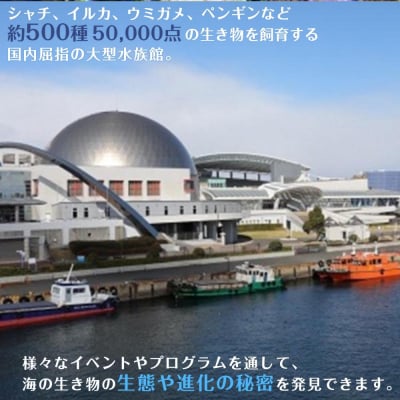 名古屋港水族館(年間パスポート引換券)