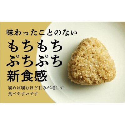 冷凍玄米おにぎり詰め合わせ(10個セット)