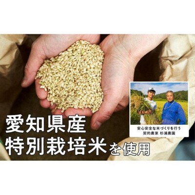 冷凍玄米おにぎり詰め合わせ(10個セット)