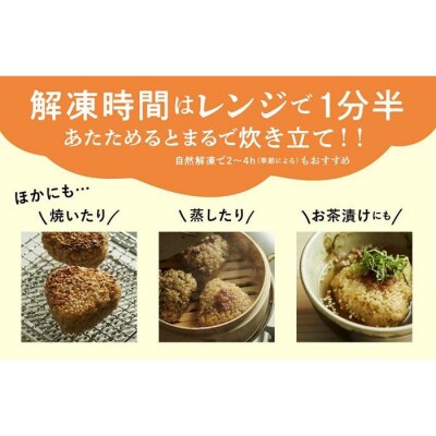 冷凍玄米おにぎり詰め合わせ(10個セット)