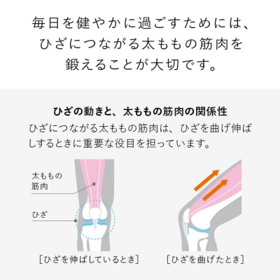 【Lサイズ】SIXPAD Knee Fit シックスパッド ニーフィット トレーニング 家電