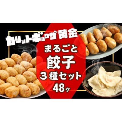 カリットギョウザ まるごとセット3種(48ケ)餃子 水餃子 スマイル餃子