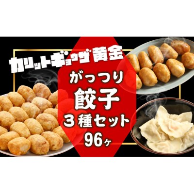カリットギョウザ がっつりセット3種(96ケ)餃子 水餃子 スマイル餃子