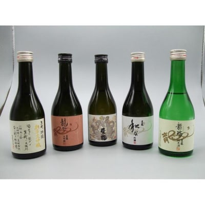守山　東春酒造300ml　銘酒飲み比べ5本セット