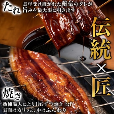 名古屋 うなぎのしら河 国産 鰻 ひつまぶし倶楽部2人前蒲焼き 240g