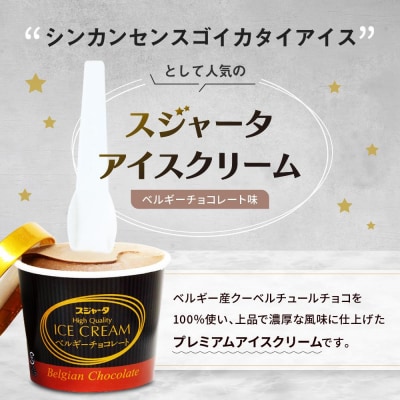 シンカンセンスゴイカタイアイス　ベルギーチョコ 11個