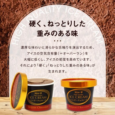 シンカンセンスゴイカタイアイス　ベルギーチョコ 11個