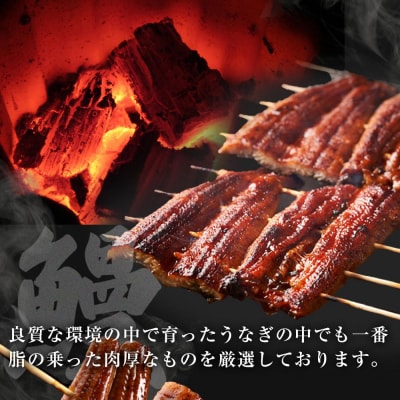 国産特大うなぎ　ひつまぶしセット(6セット)