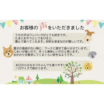 愛犬のごほうびに!　犬用ふりかけ　50g×8