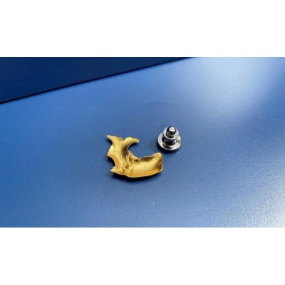 話題独占?!名古屋城の【金のシャチホコ】魚のアクセサリーシリーズ”nanako”ピンズ