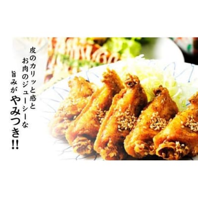 【本場】手羽先唐揚げ　甘口　真空冷凍　1袋5本入り×8袋 おつまみ つばさや