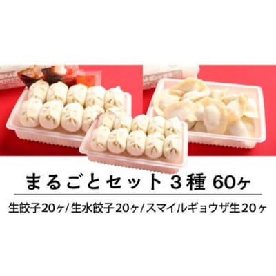 カリットギョウザまるごとセット3種(60ケ)餃子 水餃子 スマイル餃子