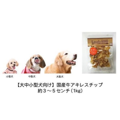 【大中小型犬向け】国産牛アキレスチップ 1kg(200g×5) 無添加 手作り