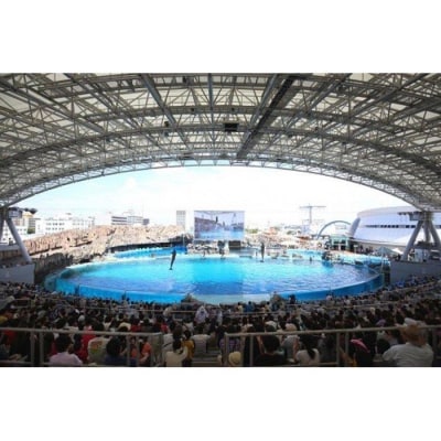 4施設共通入館券(大人入館券)