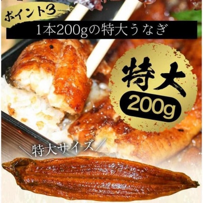 国産うなぎの蒲焼・白焼き豪華食べ比べセット(蒲焼2尾・白焼き2尾 計4尾)