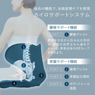 Style SMART【ネイビー】 | 骨盤 椅子 座椅子 姿勢サポート 骨盤補正 健康グッズ 人気