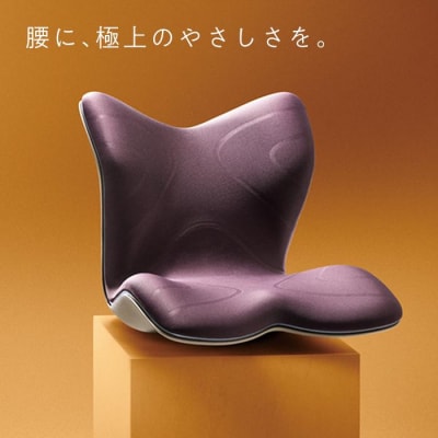 Style PREMIUM【ブラウン】 | スタイルプレミアム 骨盤 椅子 座椅子 姿勢サポート