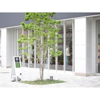 革製スニーカー1足分お仕立券