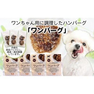 愛犬のごほうびに!ワンバーグ　120g×4