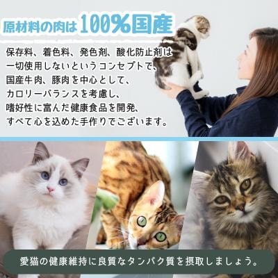 愛猫のごほうびに!　猫用ペットフード　お徳用セット!2点詰め合わせセット