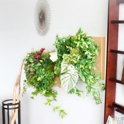 Botanical c.class 08　ホワイトウッド