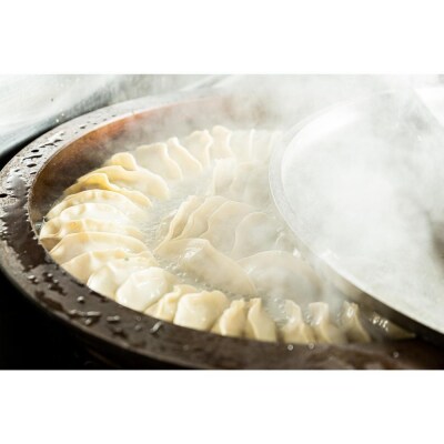 餃子・焼餃子・VEGISOY YAKIGYOZA 50個【冷凍品】