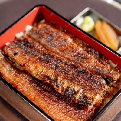 【松】蒲焼セット(ながやき3・半身5)