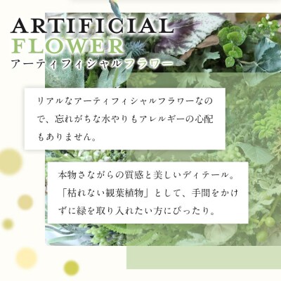 ナチュラル グリーンリース